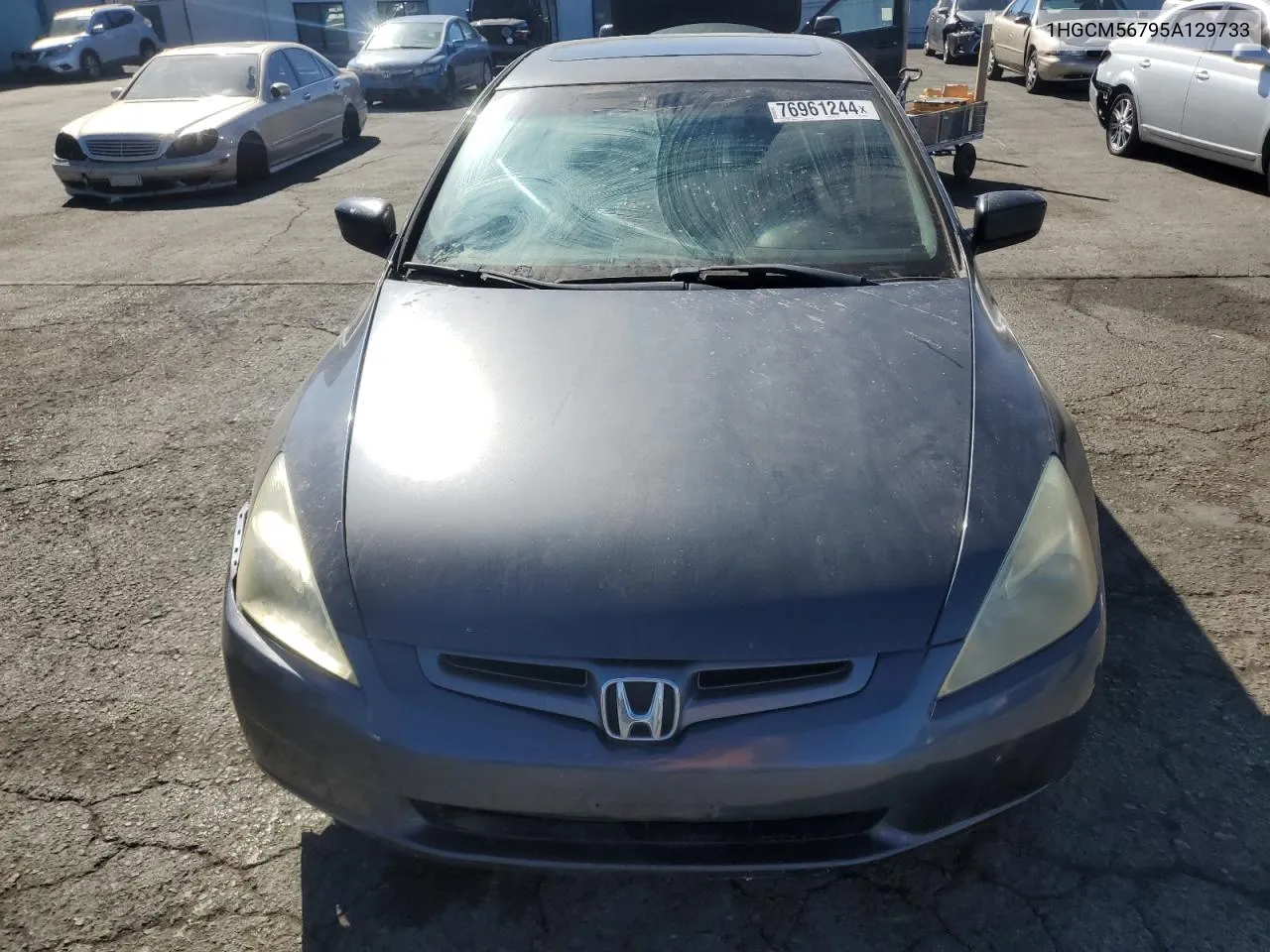 2005 Honda Accord Ex VIN: 1HGCM56795A129733 Lot: 76961244