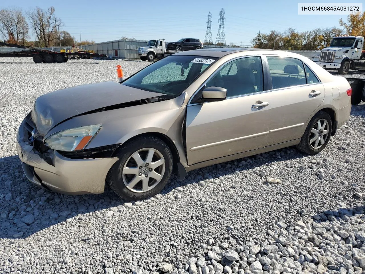 2005 Honda Accord Ex VIN: 1HGCM66845A031272 Lot: 76985714