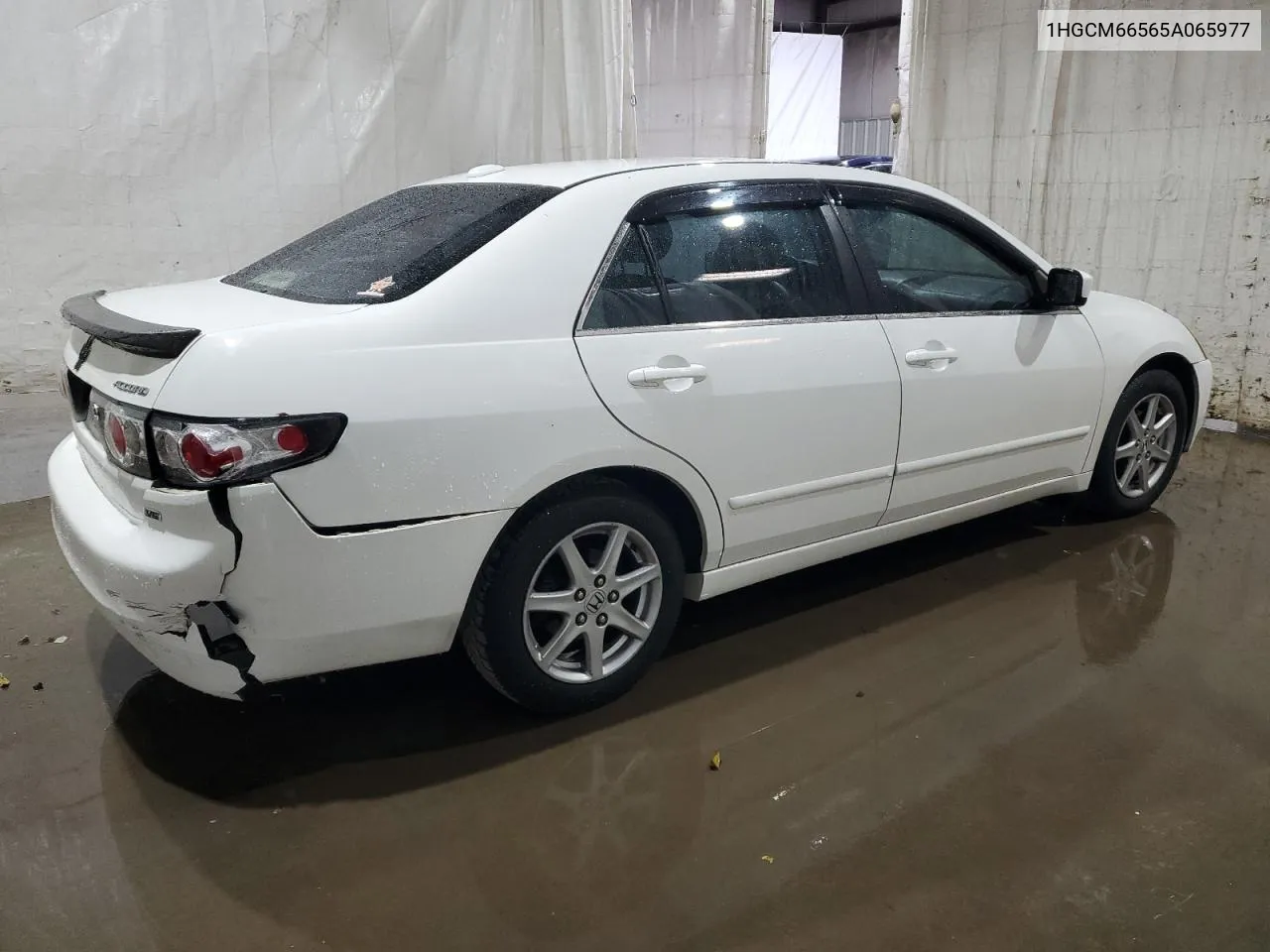 1HGCM66565A065977 2005 Honda Accord Ex