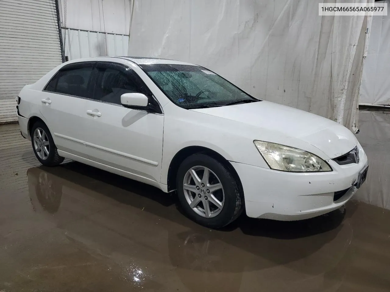 2005 Honda Accord Ex VIN: 1HGCM66565A065977 Lot: 77312044