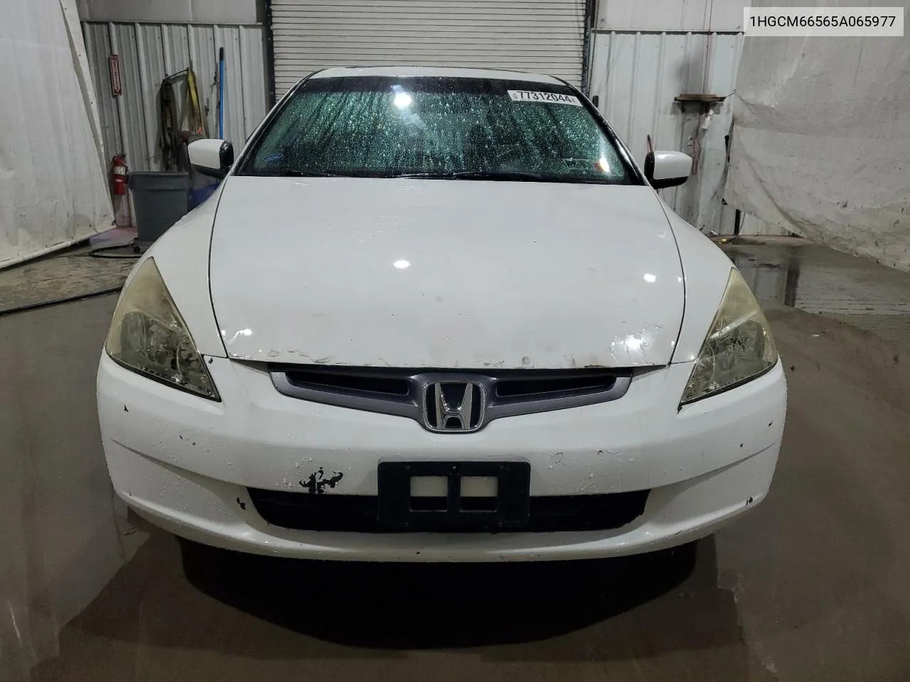 2005 Honda Accord Ex VIN: 1HGCM66565A065977 Lot: 77312044