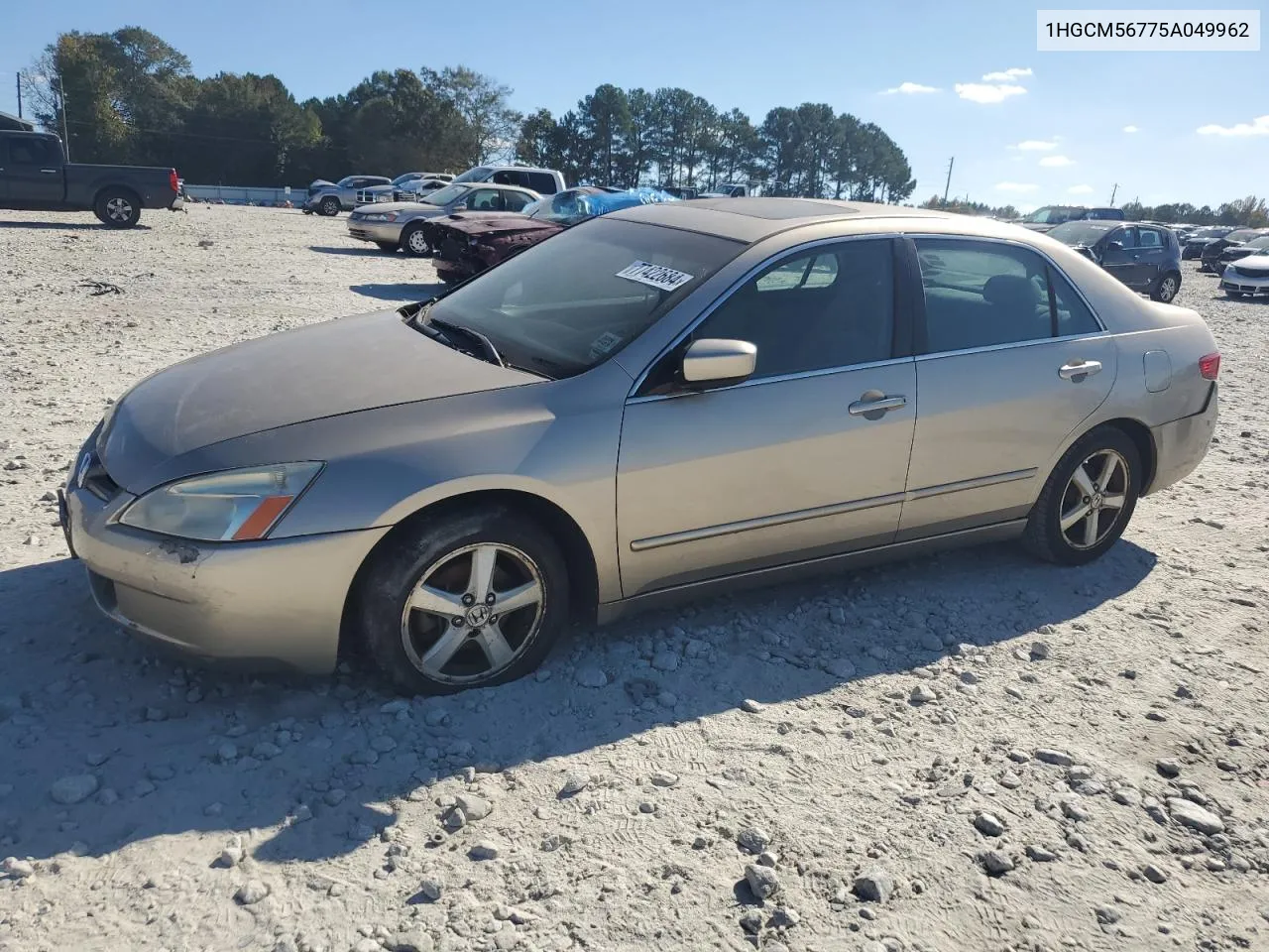 2005 Honda Accord Ex VIN: 1HGCM56775A049962 Lot: 77422684