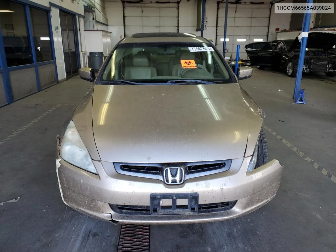 2005 Honda Accord Ex VIN: 1HGCM66565A039024 Lot: 77662684