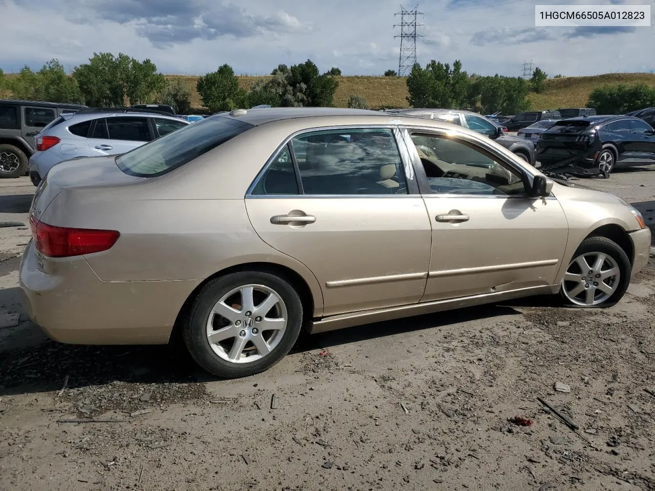 2005 Honda Accord Ex VIN: 1HGCM66505A012823 Lot: 78639844