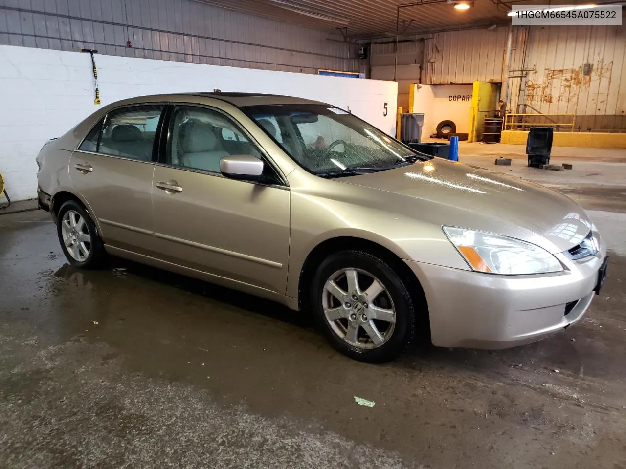 2005 Honda Accord Ex VIN: 1HGCM66545A075522 Lot: 79117023