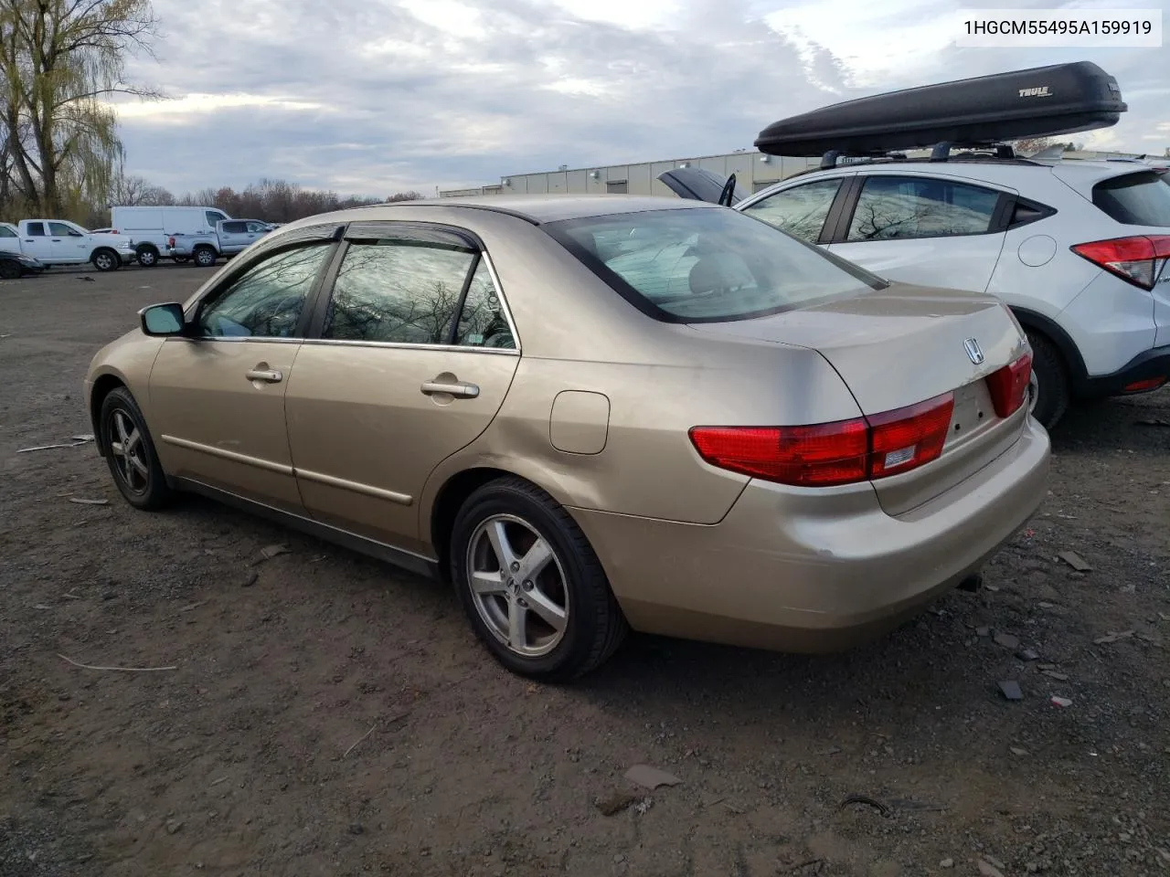 2005 Honda Accord Lx VIN: 1HGCM55495A159919 Lot: 80343904