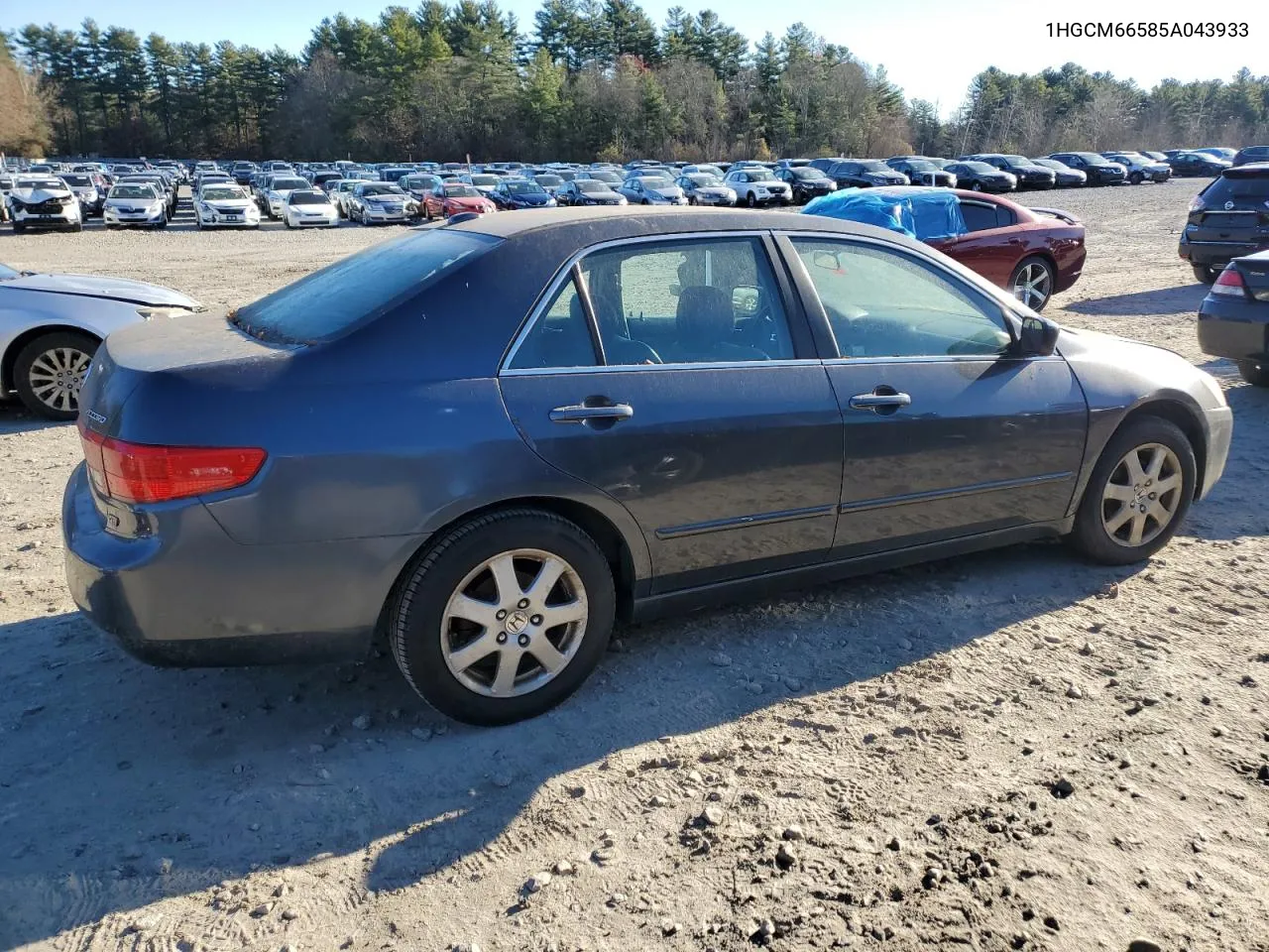 2005 Honda Accord Ex VIN: 1HGCM66585A043933 Lot: 80716074