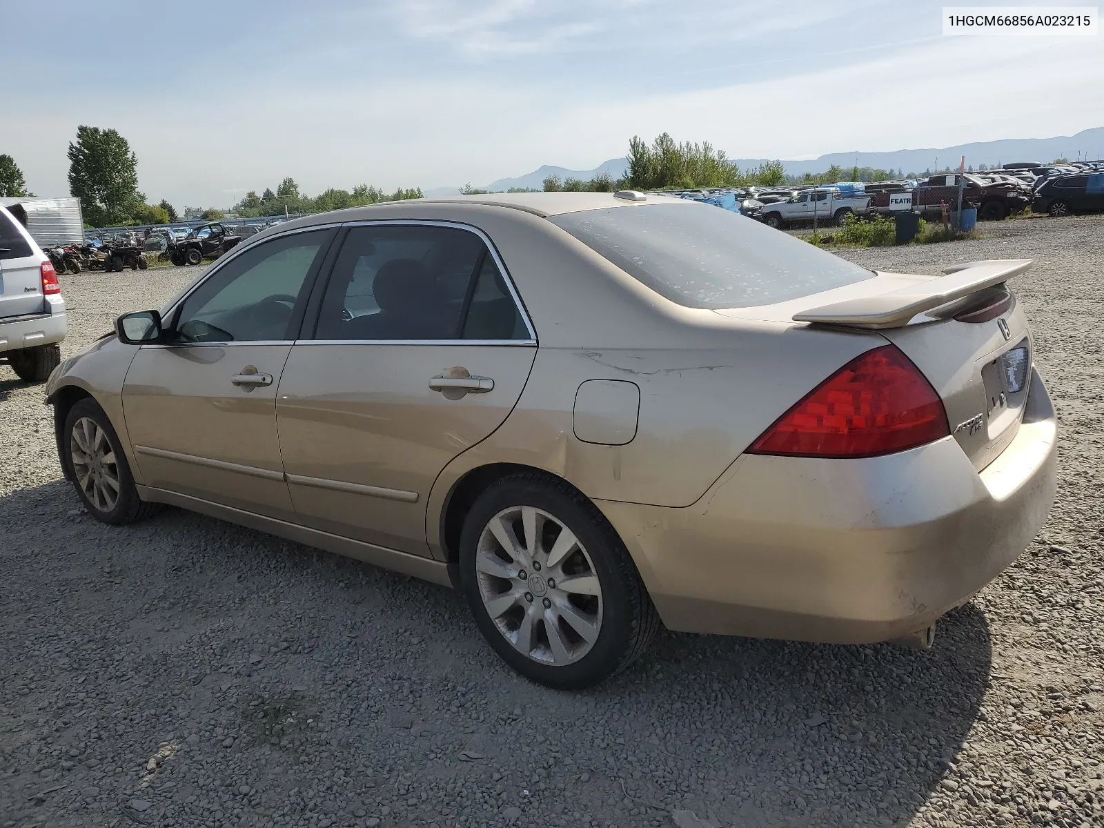 2006 Honda Accord Ex VIN: 1HGCM66856A023215 Lot: 55169634