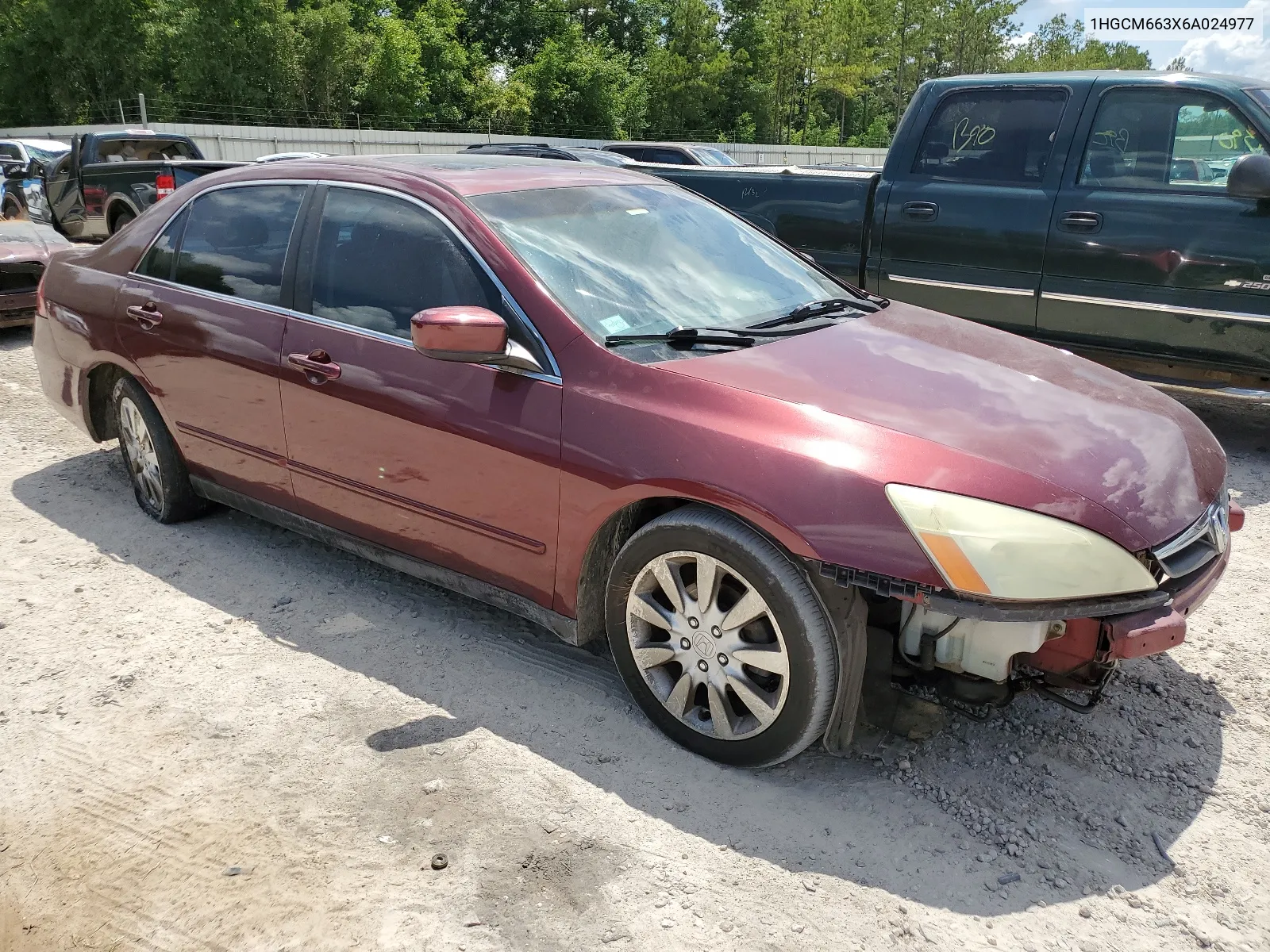 2006 Honda Accord Lx VIN: 1HGCM663X6A024977 Lot: 56010334