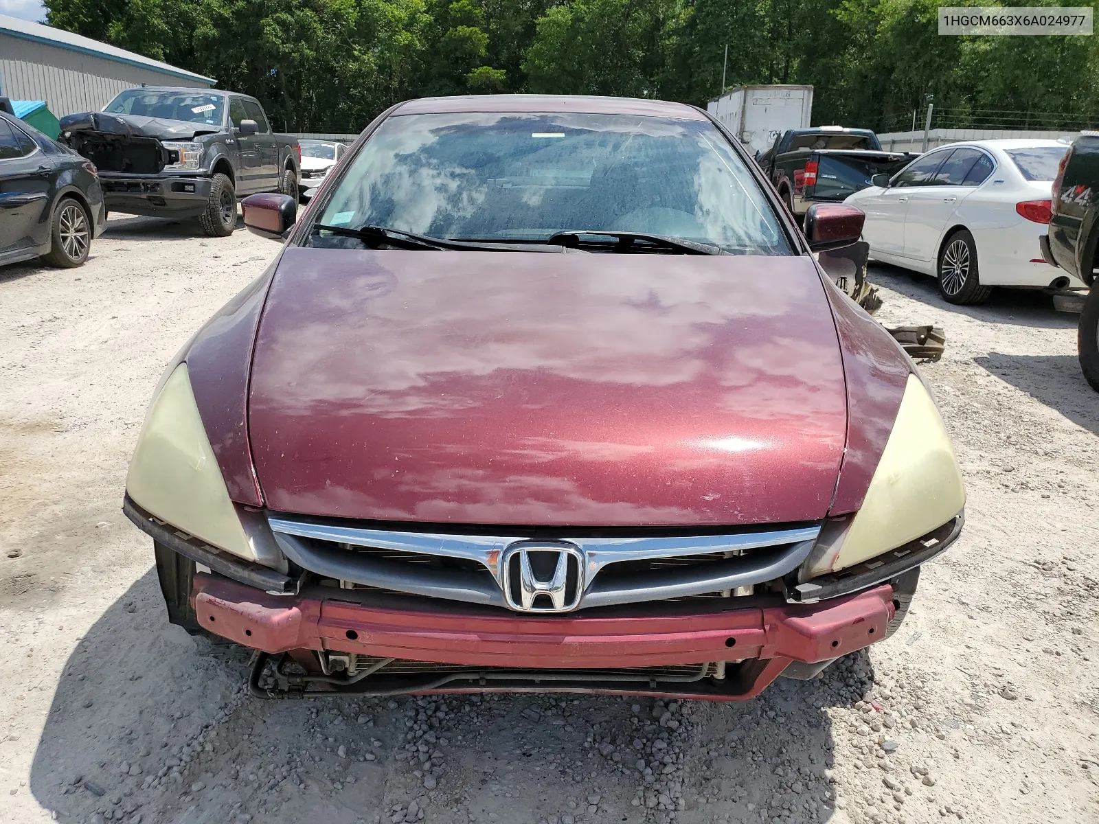 2006 Honda Accord Lx VIN: 1HGCM663X6A024977 Lot: 56010334