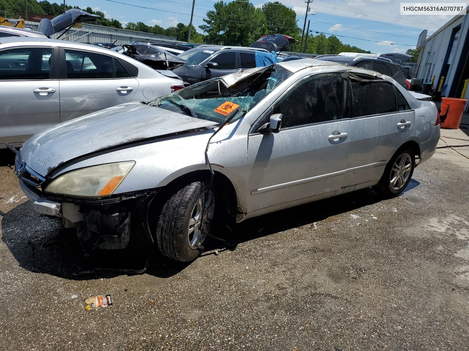 2006 Honda Accord Se VIN: 1HGCM56316A070787 Lot: 62429424