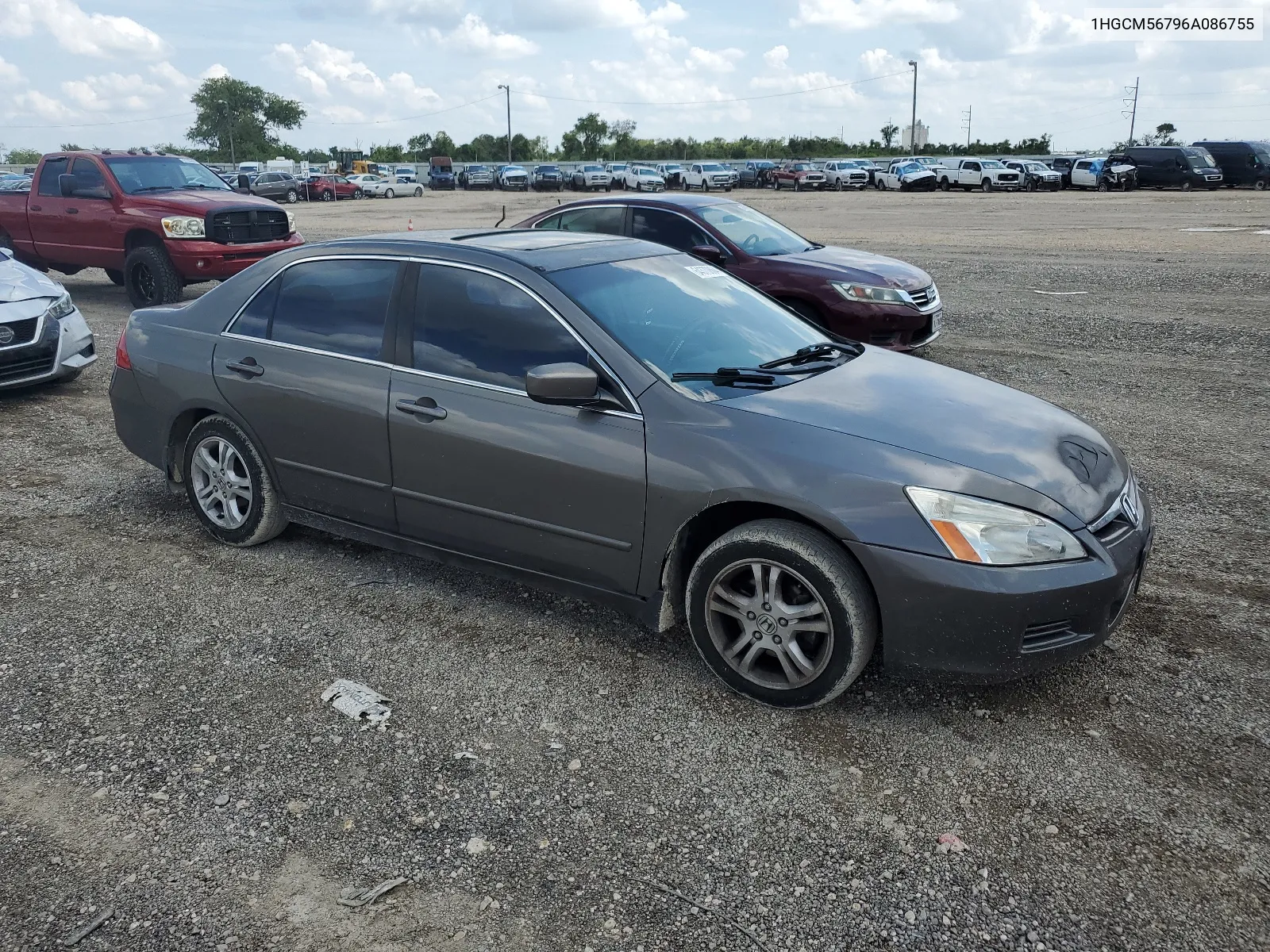 2006 Honda Accord Ex VIN: 1HGCM56796A086755 Lot: 64370864