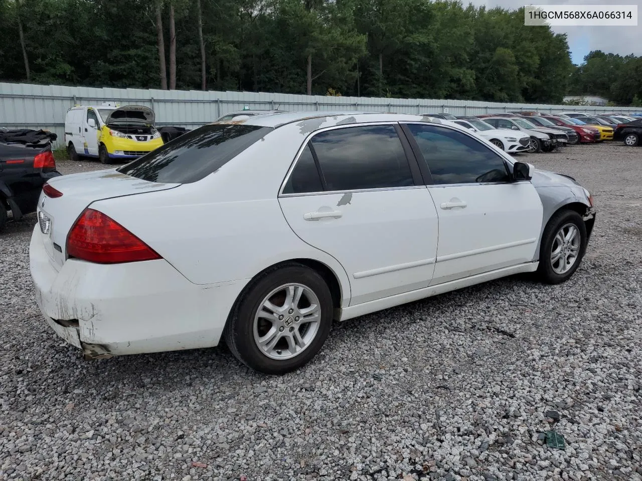 2006 Honda Accord Ex VIN: 1HGCM568X6A066314 Lot: 64954874