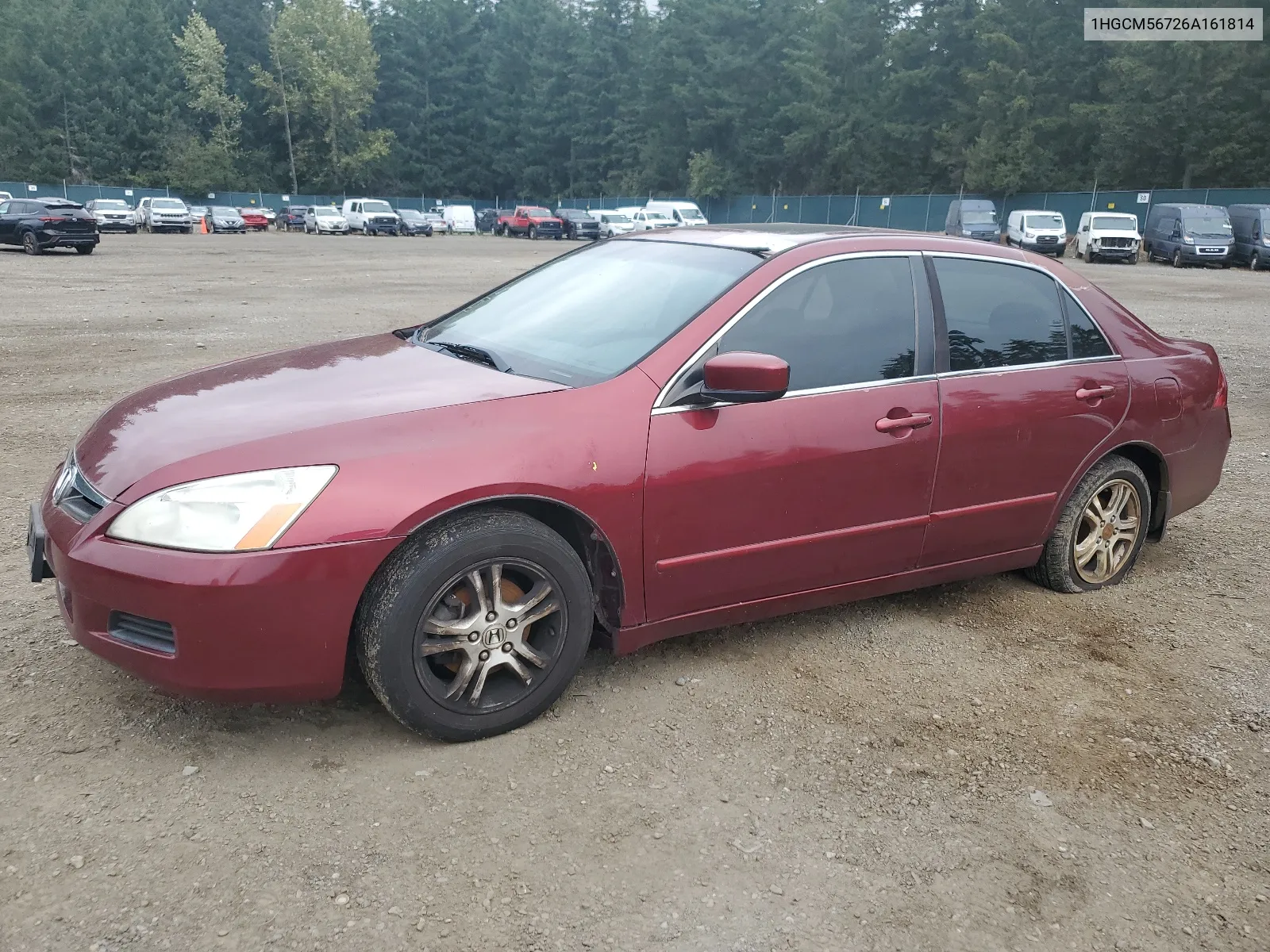 2006 Honda Accord Ex VIN: 1HGCM56726A161814 Lot: 65034044