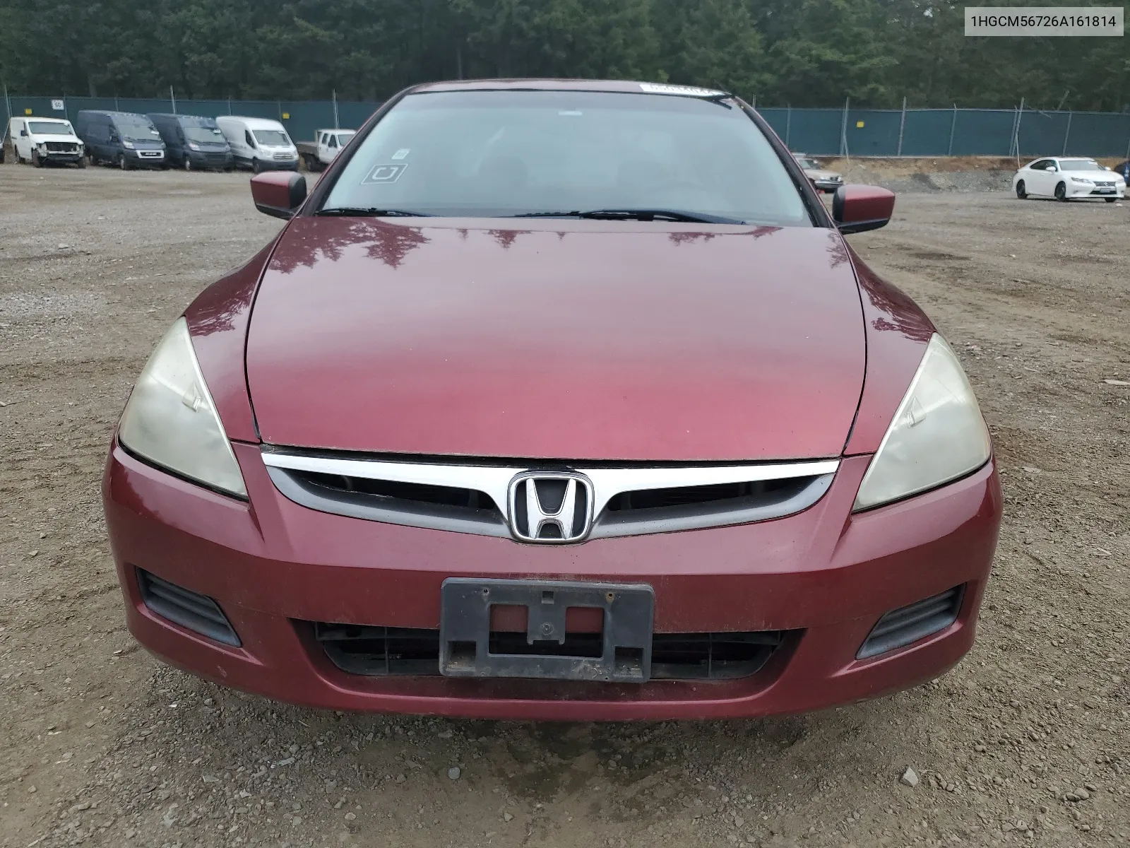 2006 Honda Accord Ex VIN: 1HGCM56726A161814 Lot: 65034044