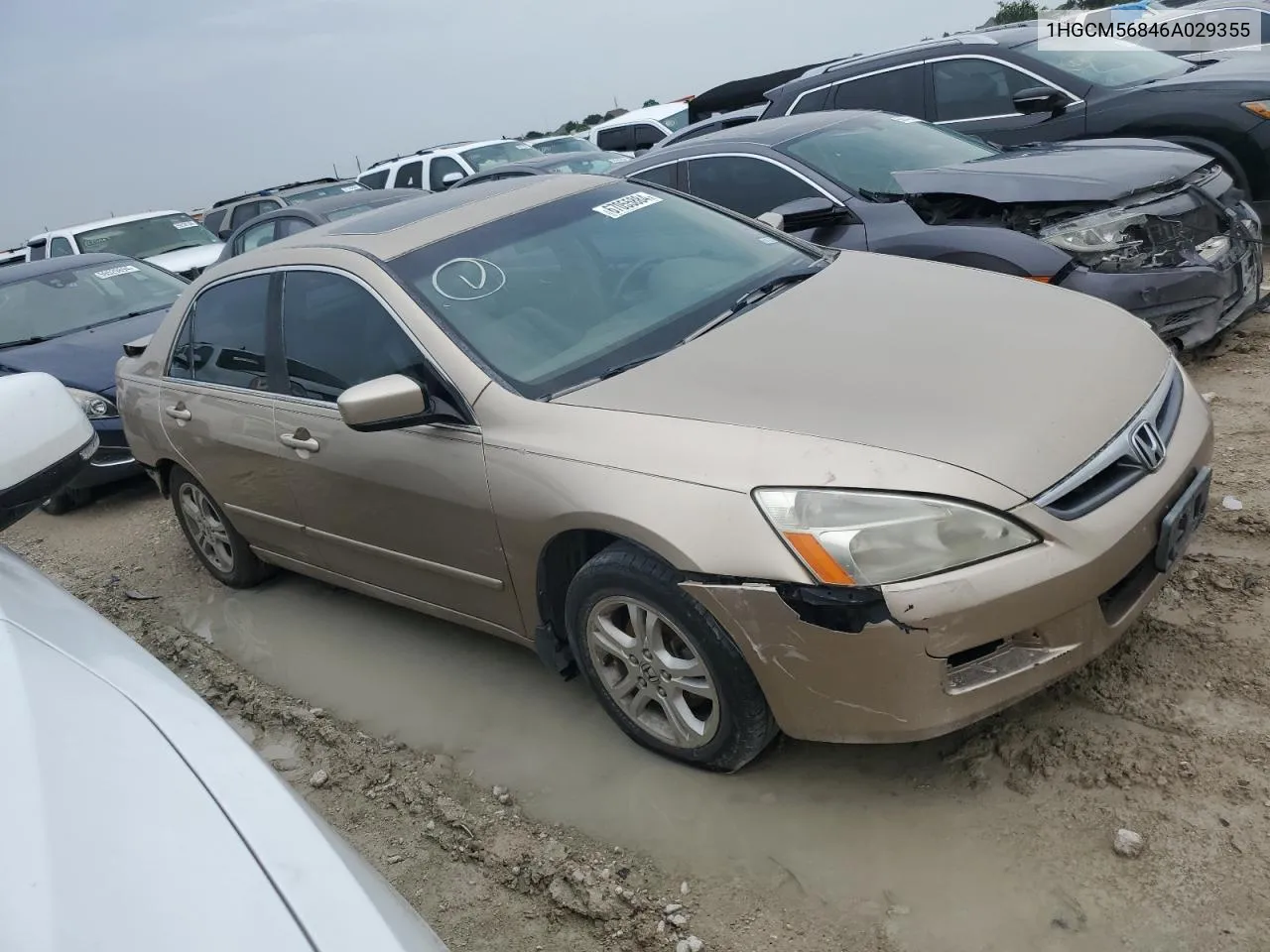 1HGCM56846A029355 2006 Honda Accord Ex