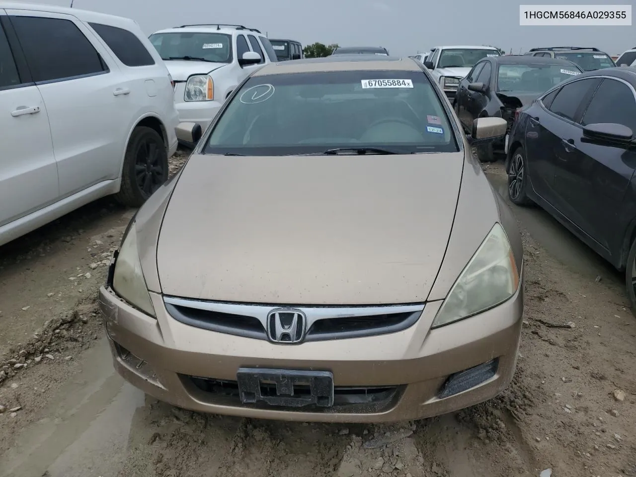 2006 Honda Accord Ex VIN: 1HGCM56846A029355 Lot: 67055884