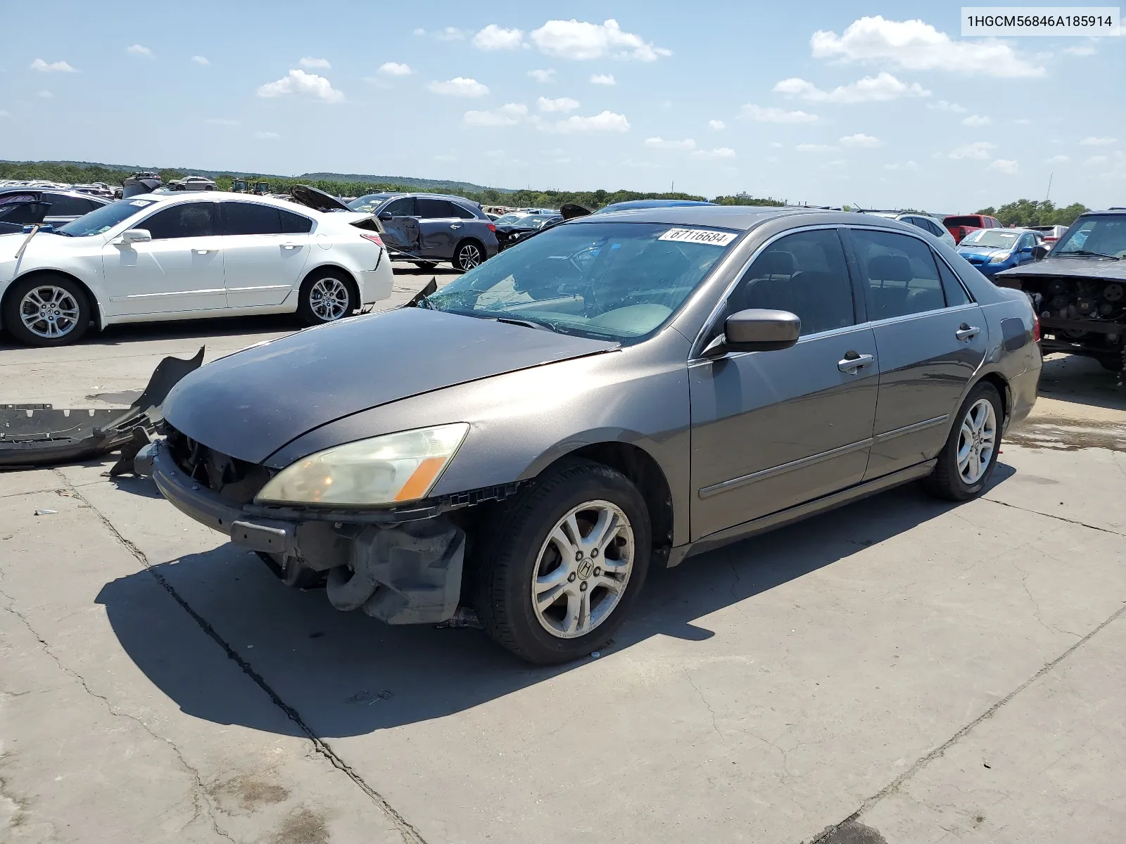 2006 Honda Accord Ex VIN: 1HGCM56846A185914 Lot: 67116684