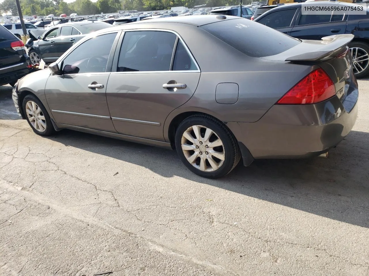 2006 Honda Accord Ex VIN: 1HGCM66596A075453 Lot: 68119874