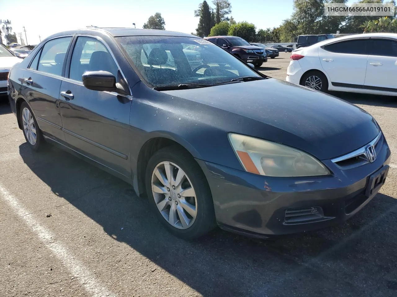 2006 Honda Accord Ex VIN: 1HGCM66566A019101 Lot: 68329464