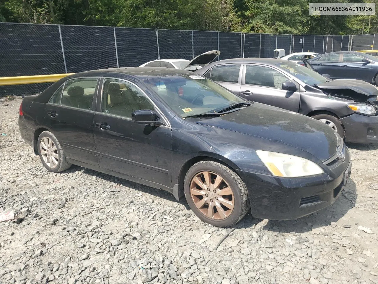 2006 Honda Accord Ex VIN: 1HGCM66836A011936 Lot: 71231364