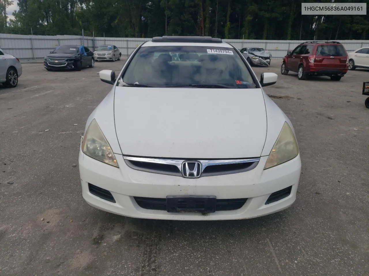 2006 Honda Accord Ex VIN: 1HGCM56836A049161 Lot: 71439794