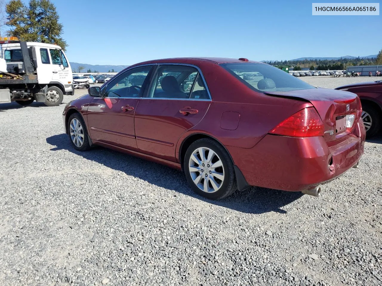 2006 Honda Accord Ex VIN: 1HGCM66566A065186 Lot: 72812324