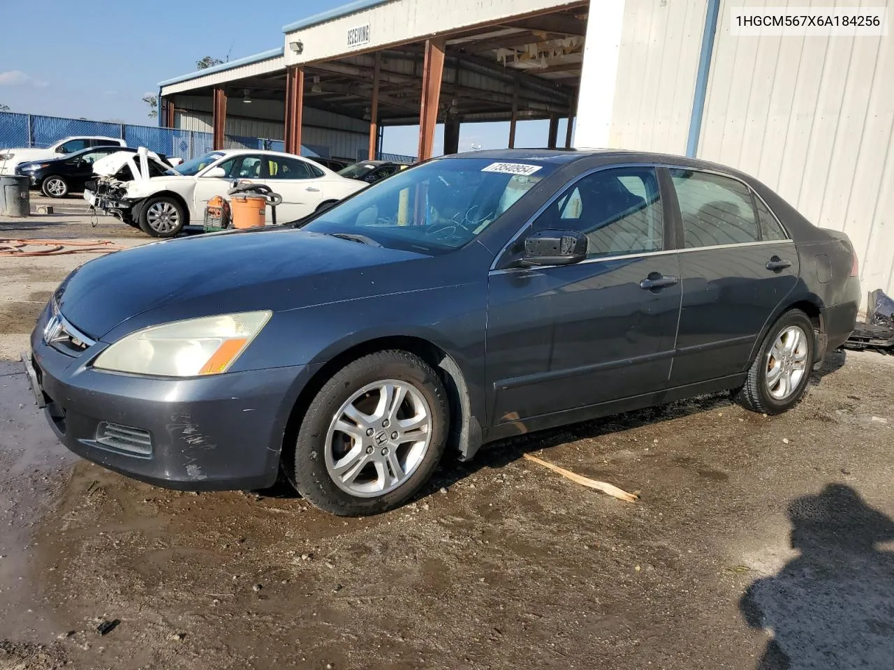 2006 Honda Accord Ex VIN: 1HGCM567X6A184256 Lot: 73540954