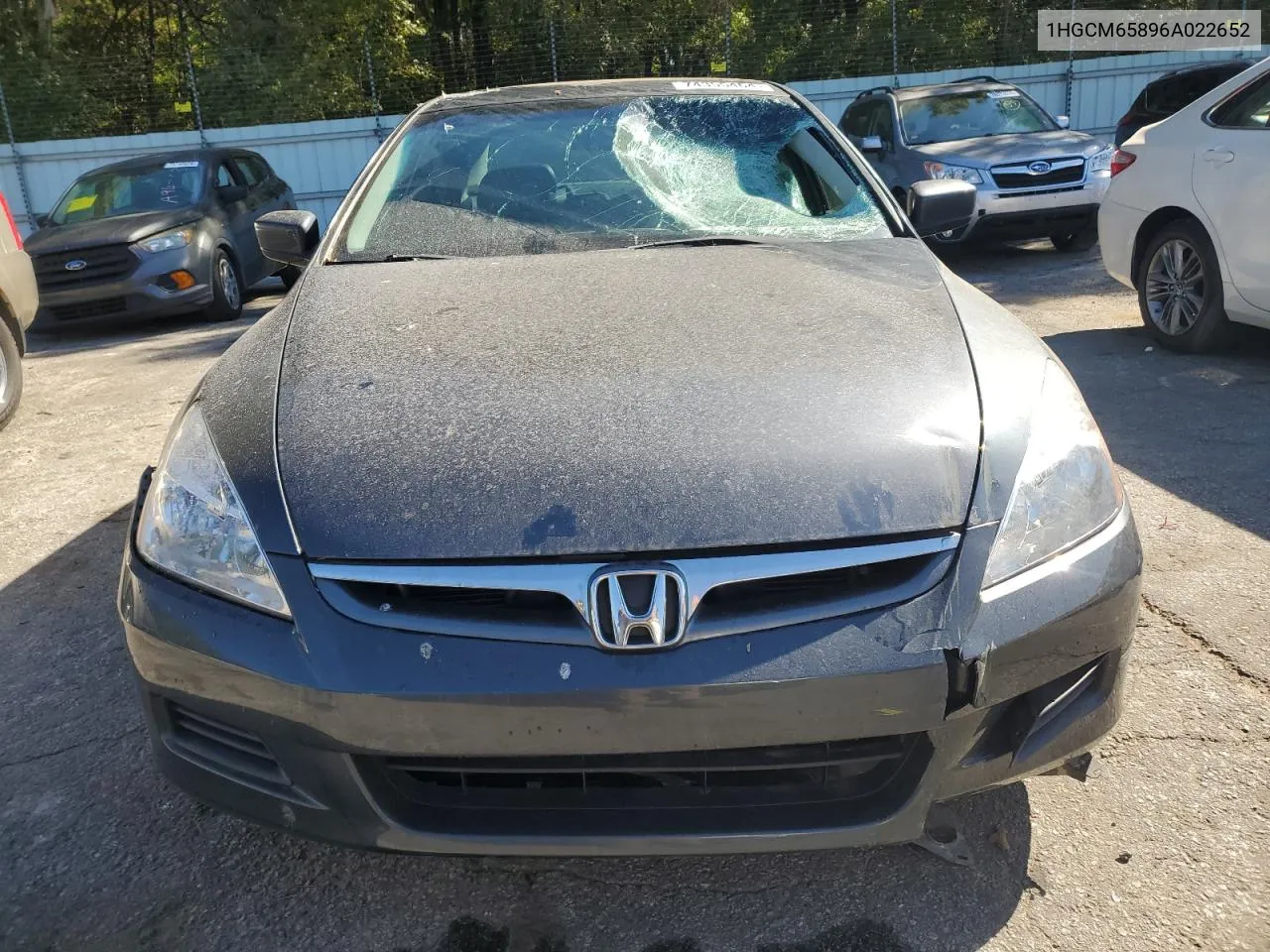 2006 Honda Accord Ex VIN: 1HGCM65896A022652 Lot: 74355464