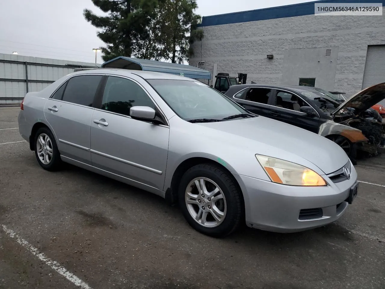 2006 Honda Accord Se VIN: 1HGCM56346A129590 Lot: 75280994