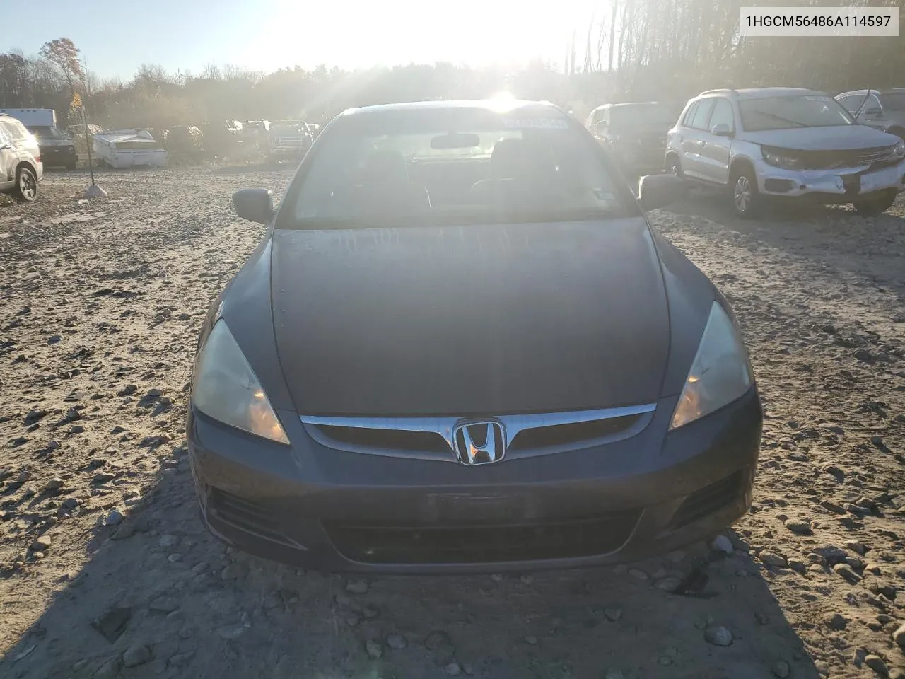 2006 Honda Accord Lx VIN: 1HGCM56486A114597 Lot: 77098454