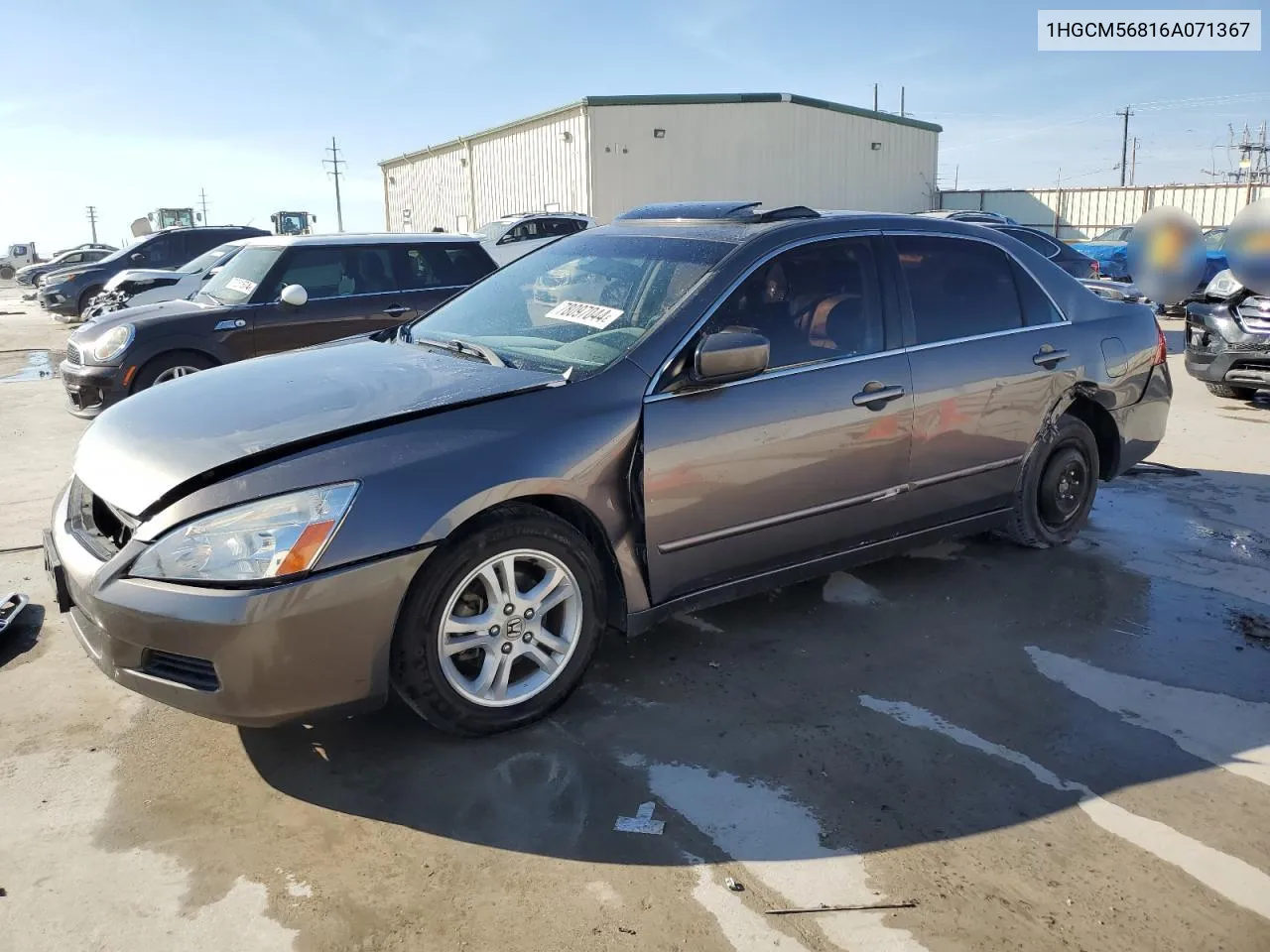 2006 Honda Accord Ex VIN: 1HGCM56816A071367 Lot: 78097044