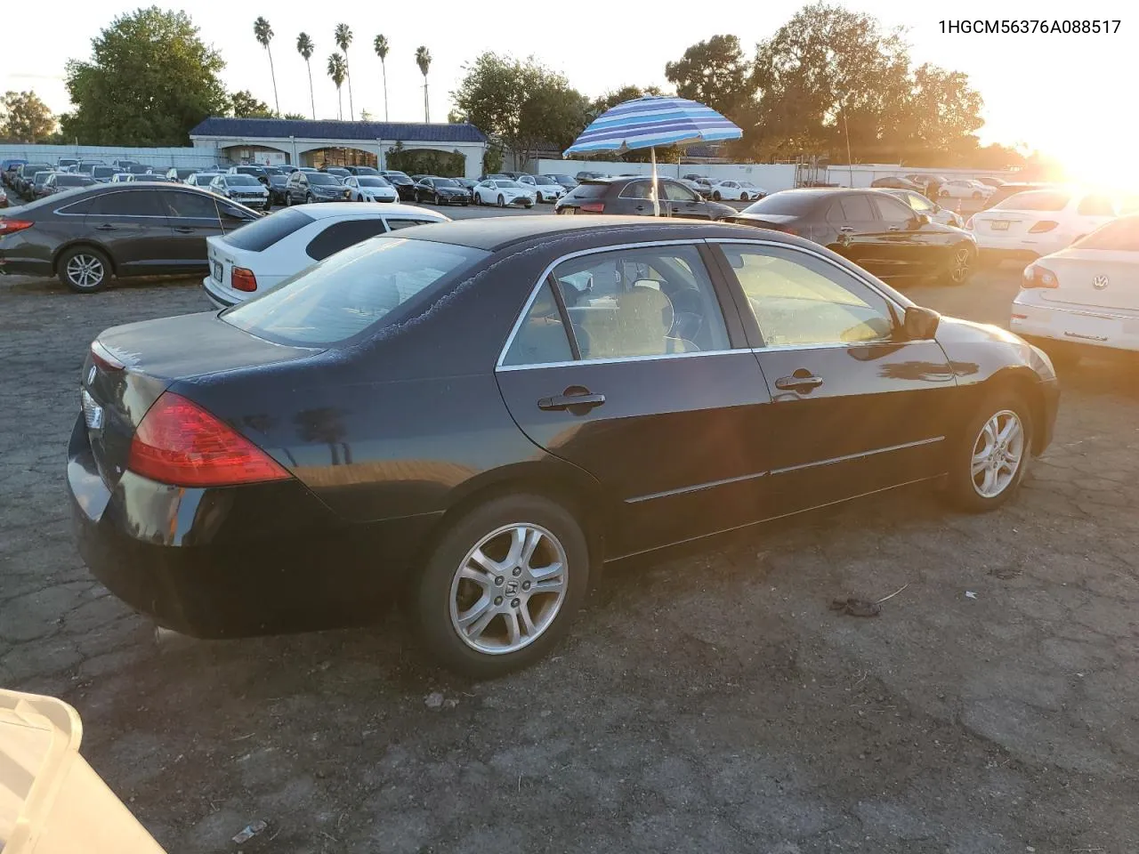 2006 Honda Accord Se VIN: 1HGCM56376A088517 Lot: 78097774