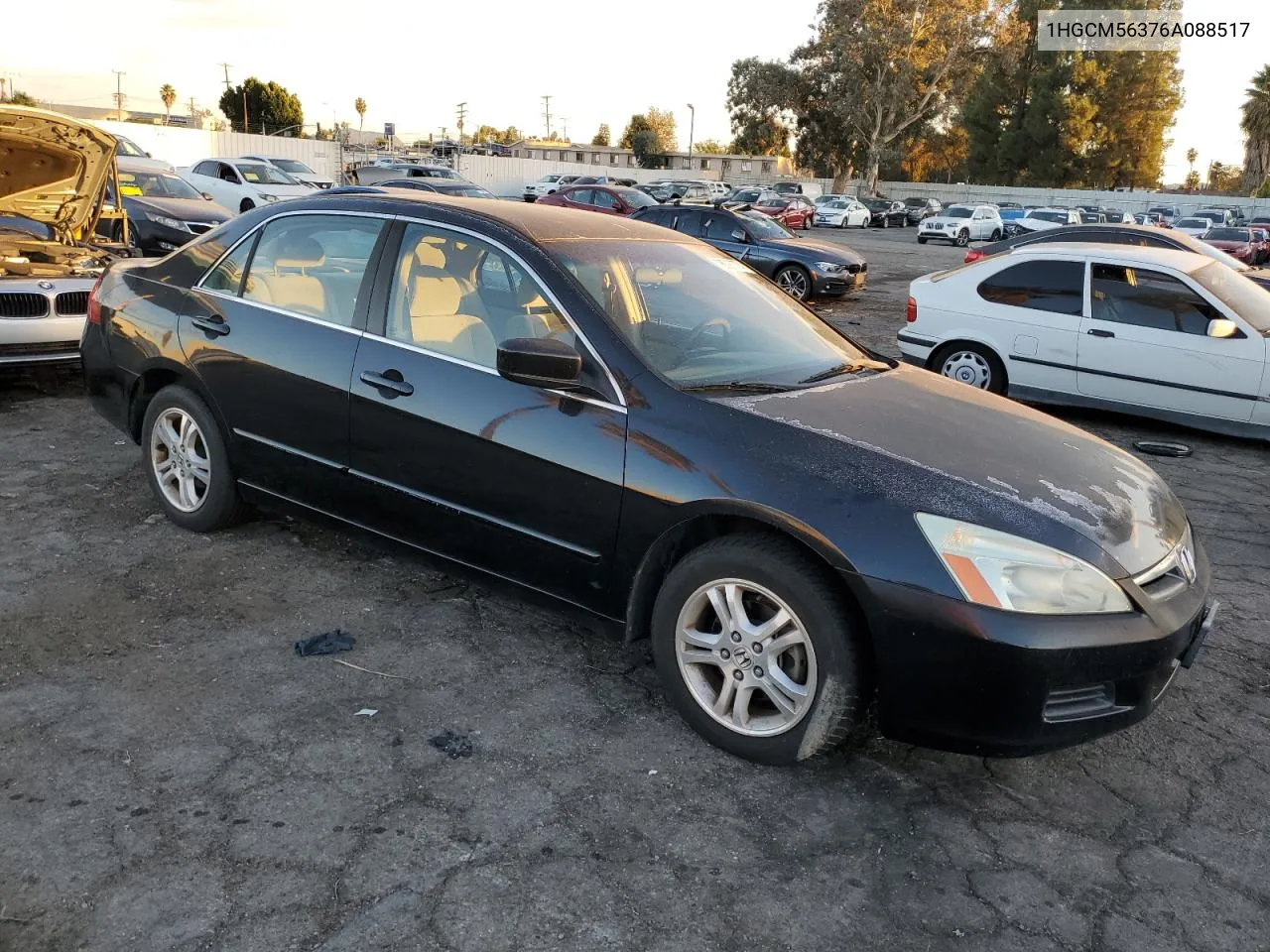 2006 Honda Accord Se VIN: 1HGCM56376A088517 Lot: 78097774