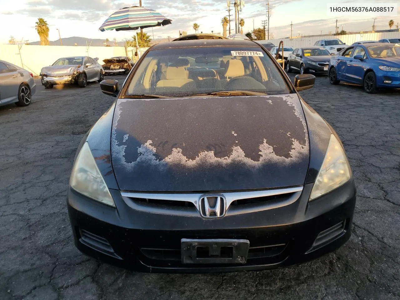 2006 Honda Accord Se VIN: 1HGCM56376A088517 Lot: 78097774