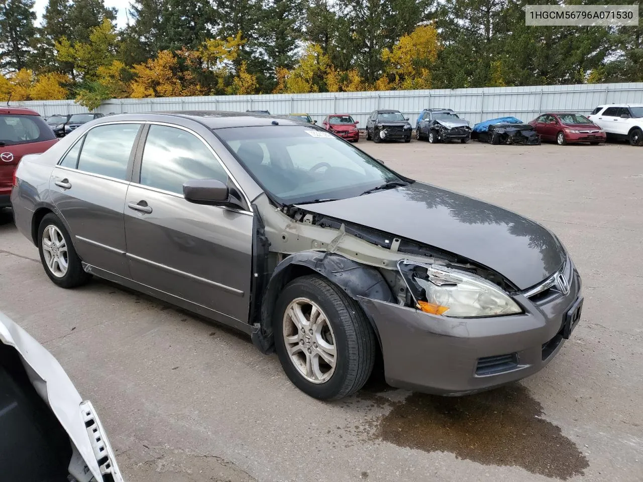 2006 Honda Accord Ex VIN: 1HGCM56796A071530 Lot: 78221084