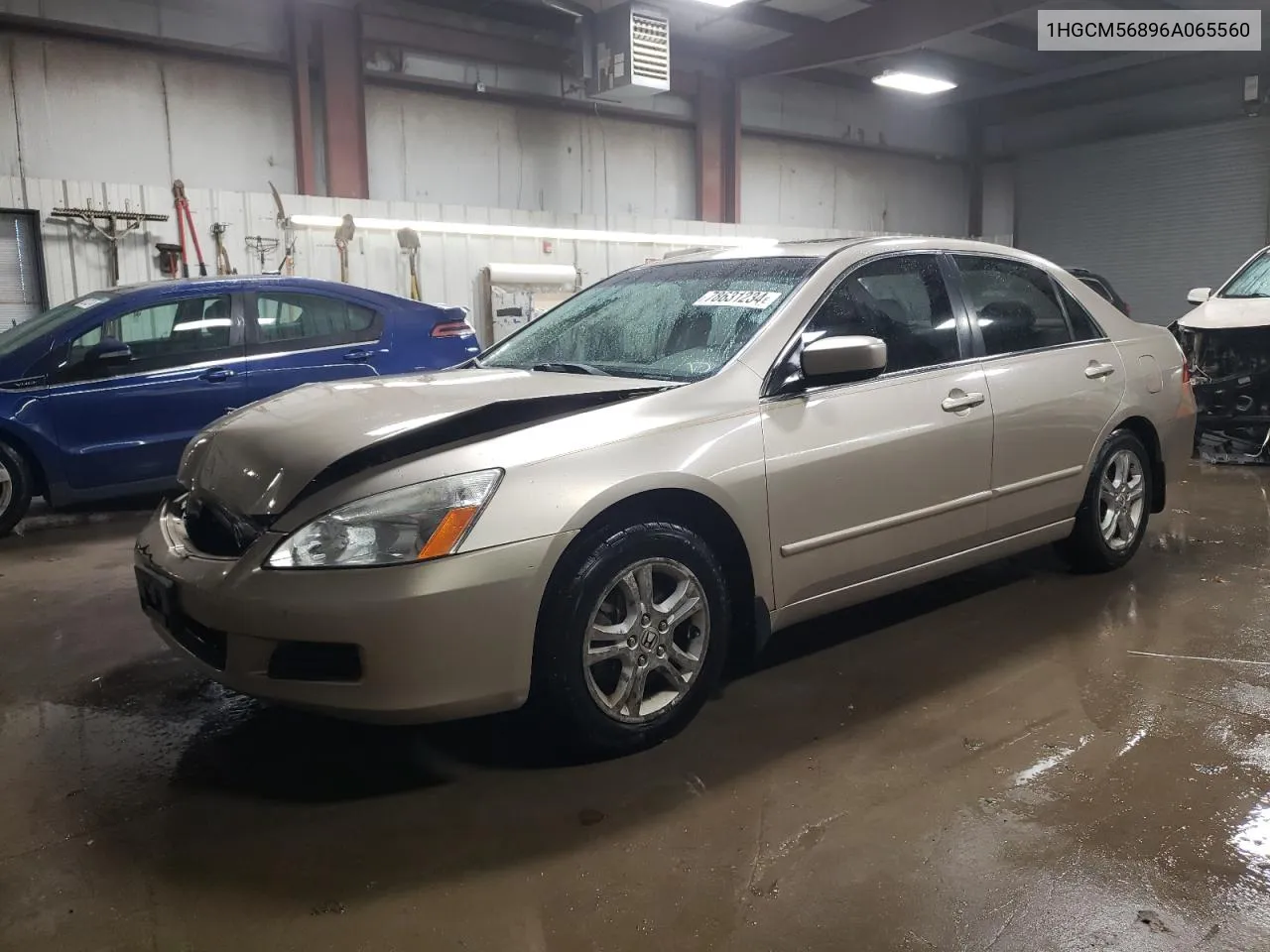 2006 Honda Accord Ex VIN: 1HGCM56896A065560 Lot: 78631234