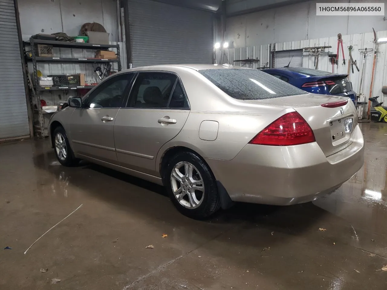 2006 Honda Accord Ex VIN: 1HGCM56896A065560 Lot: 78631234