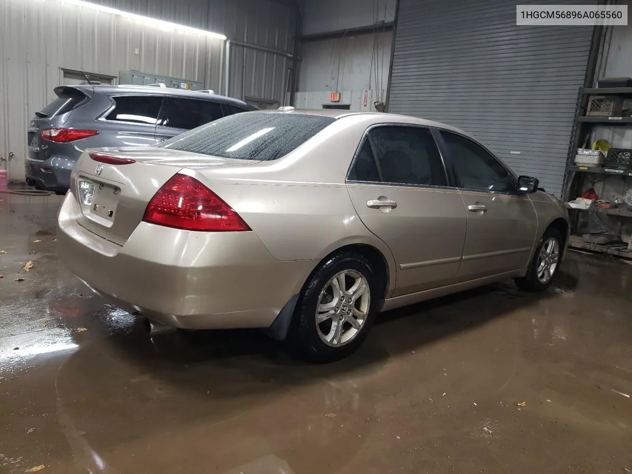 2006 Honda Accord Ex VIN: 1HGCM56896A065560 Lot: 78631234