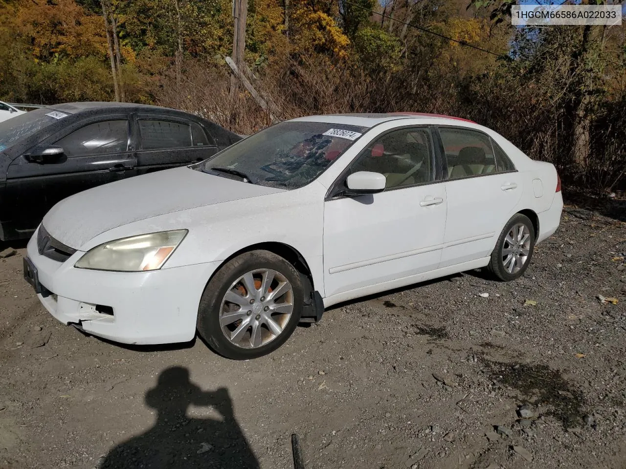 2006 Honda Accord Ex VIN: 1HGCM66586A022033 Lot: 78826074