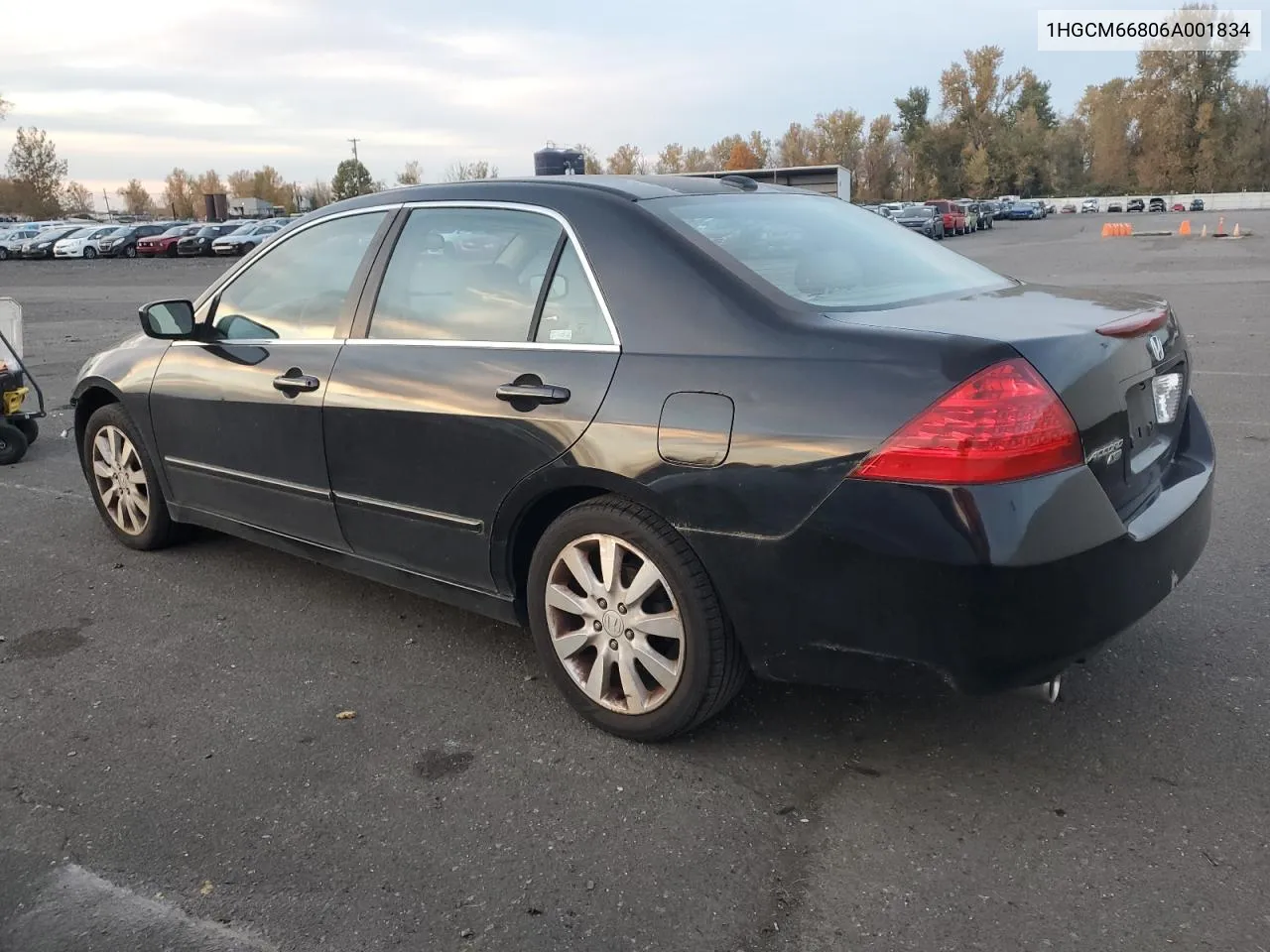 2006 Honda Accord Ex VIN: 1HGCM66806A001834 Lot: 79707574