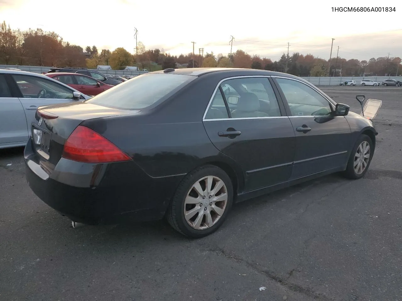 2006 Honda Accord Ex VIN: 1HGCM66806A001834 Lot: 79707574