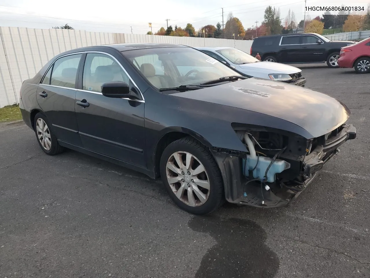 2006 Honda Accord Ex VIN: 1HGCM66806A001834 Lot: 79707574