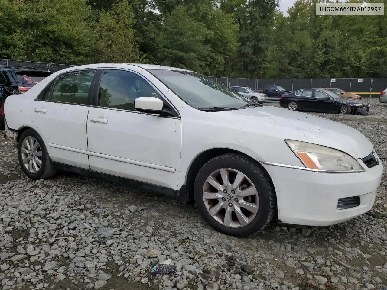 2007 Honda Accord Se VIN: 1HGCM66487A012997 Lot: 71601154