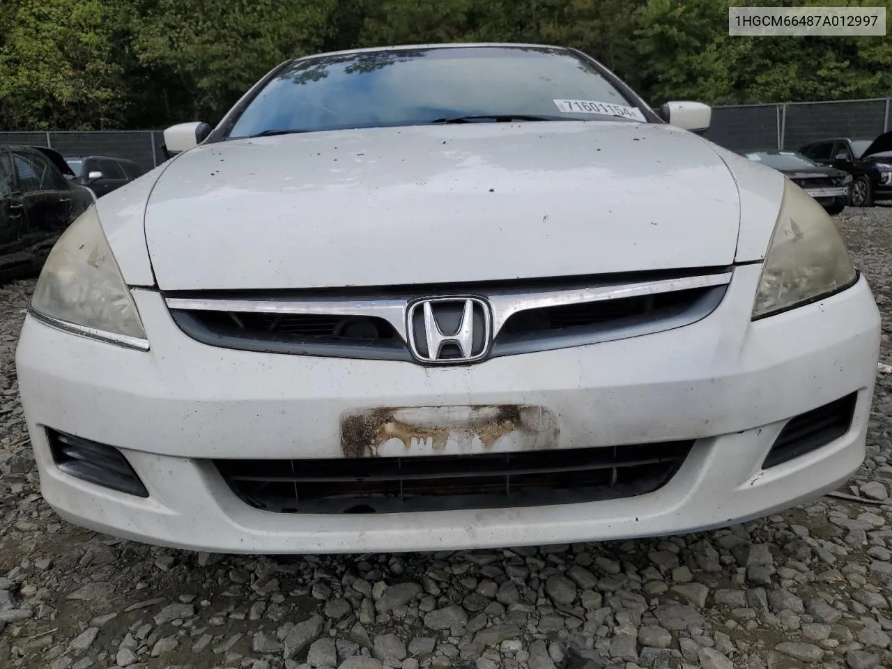 2007 Honda Accord Se VIN: 1HGCM66487A012997 Lot: 71601154