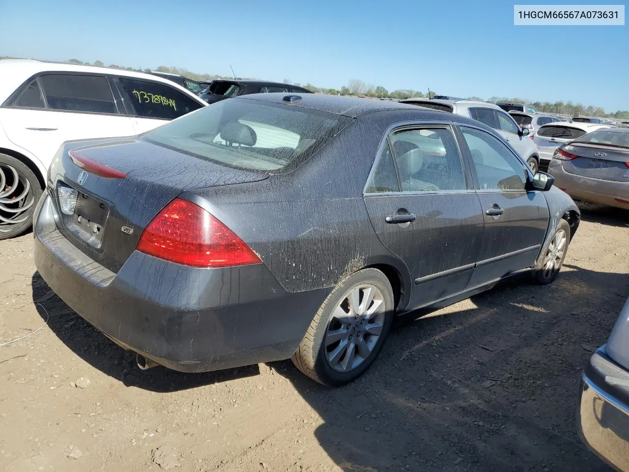 2007 Honda Accord Ex VIN: 1HGCM66567A073631 Lot: 73704474