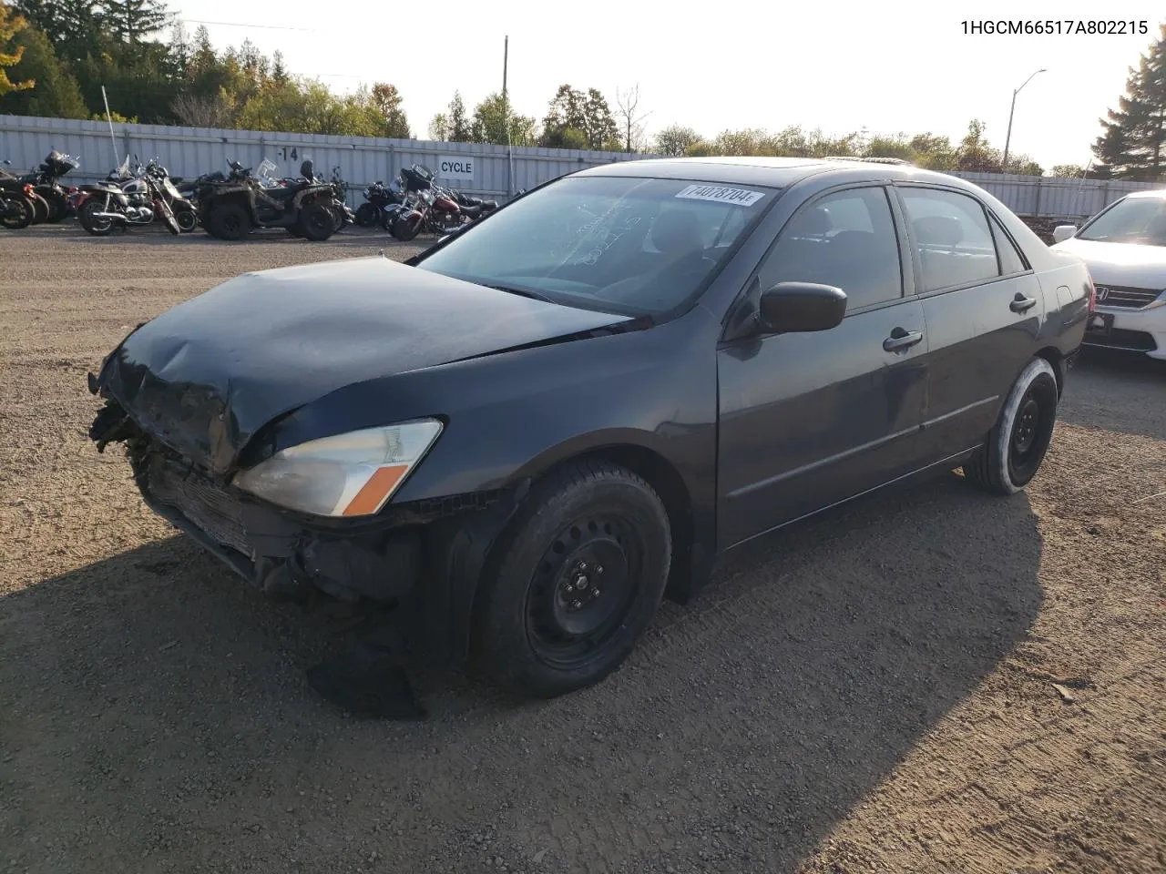 2007 Honda Accord Ex VIN: 1HGCM66517A802215 Lot: 74078704