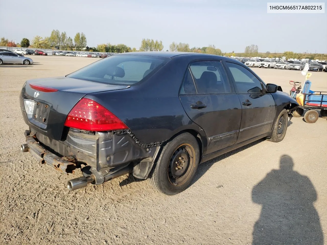 2007 Honda Accord Ex VIN: 1HGCM66517A802215 Lot: 74078704