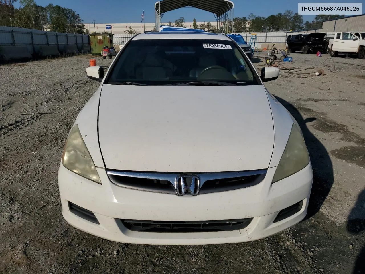 2007 Honda Accord Ex VIN: 1HGCM66587A046026 Lot: 75086064