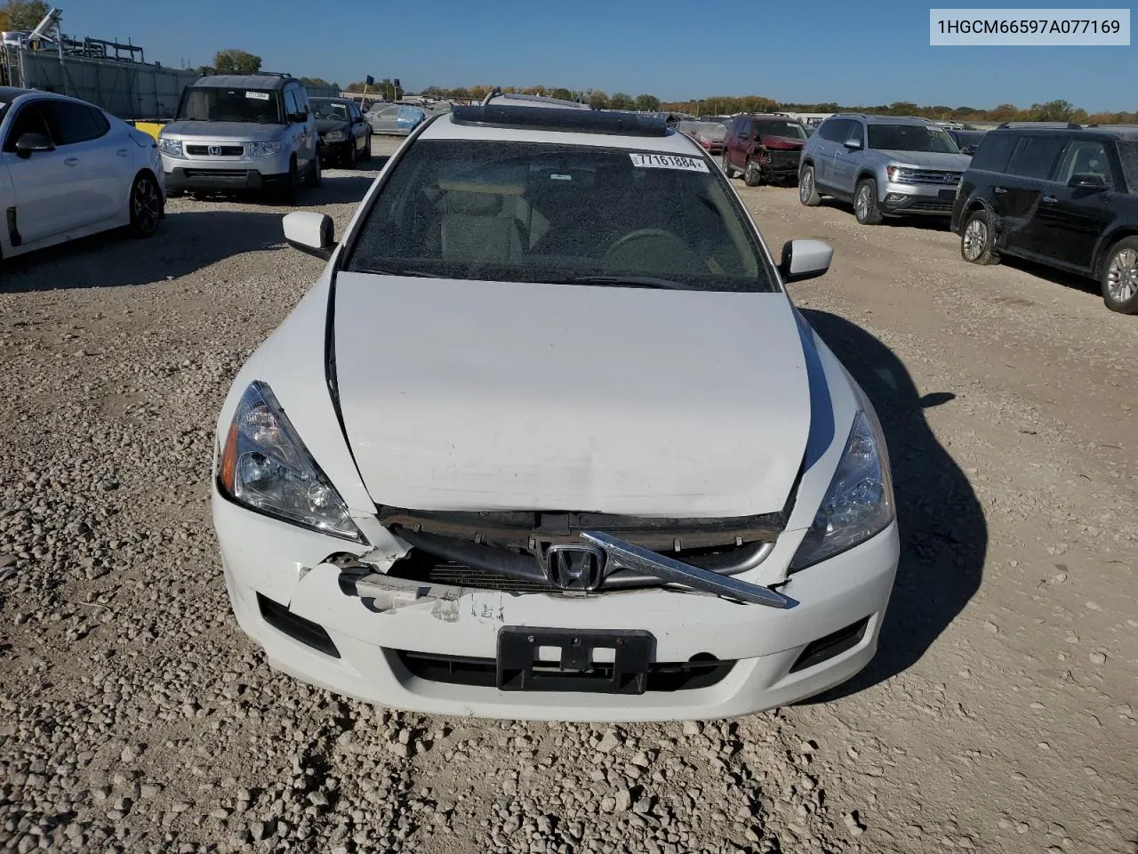 2007 Honda Accord Ex VIN: 1HGCM66597A077169 Lot: 77161884